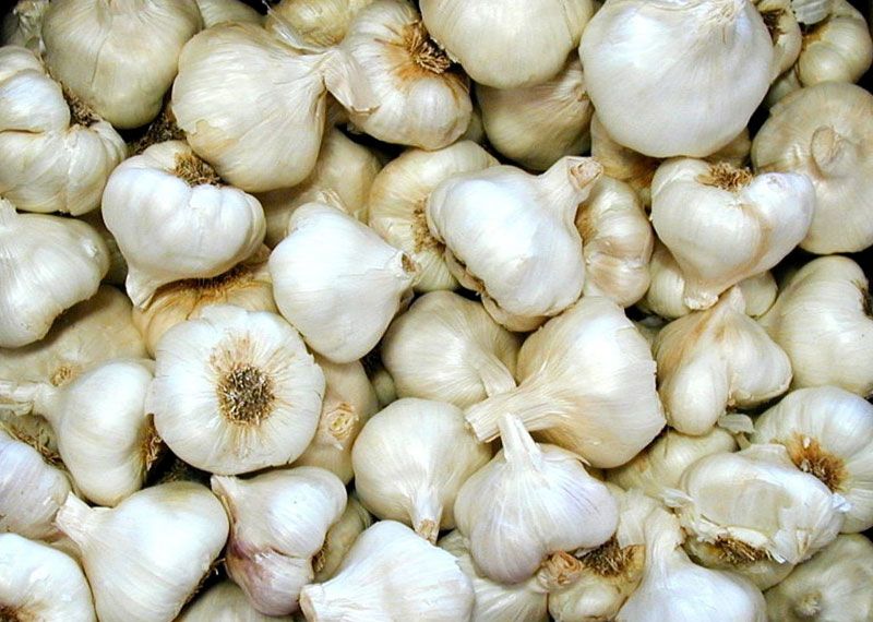 Detoxification Effect of Garlic