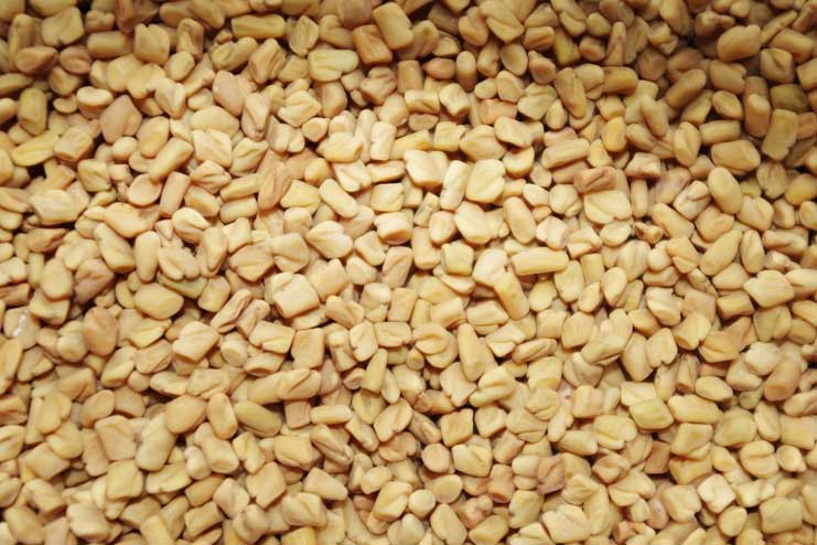 Fenugreek for Cold