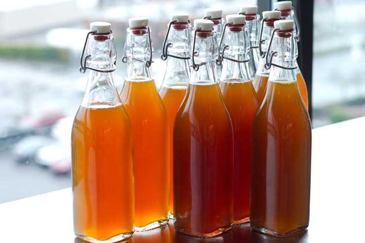 Kombucha for Cold