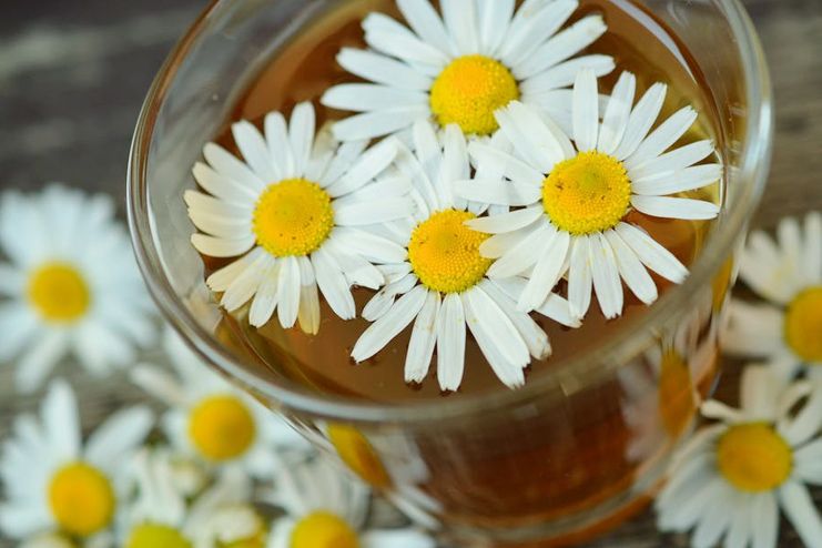 Chamomile Tea for Sore Throat