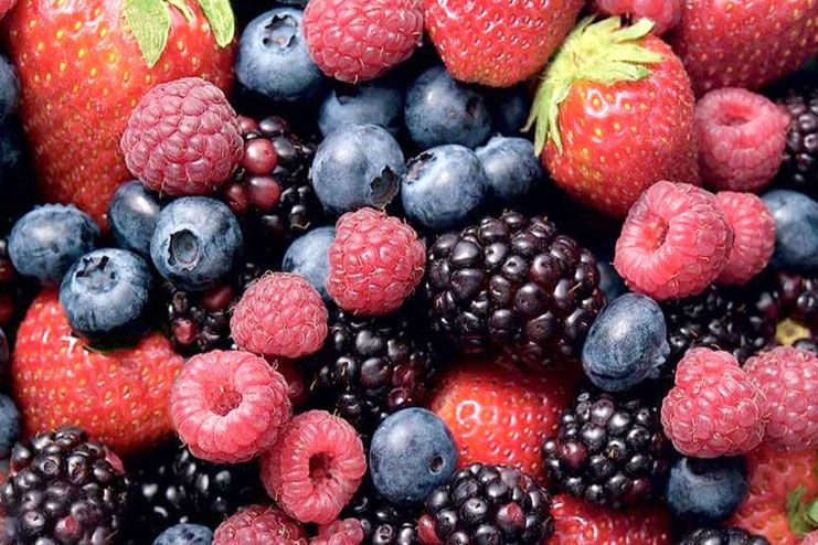 Eat berries
