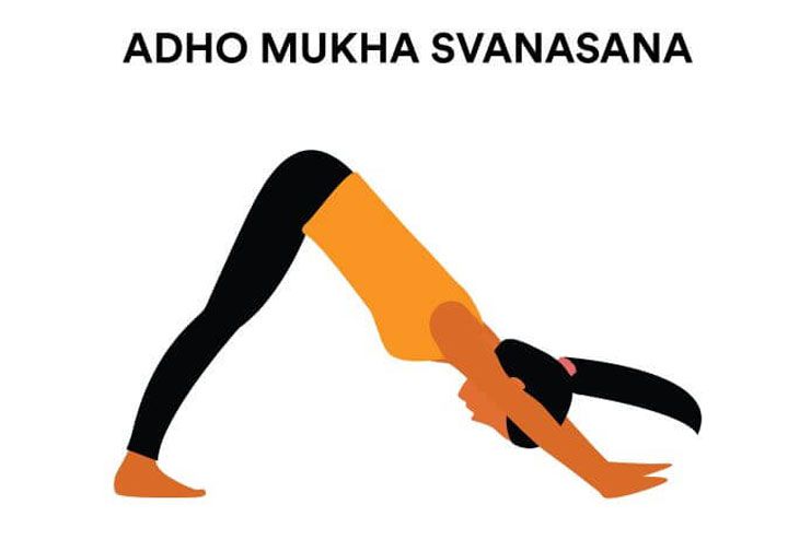 Adho mukha shavasana or downward facing dog