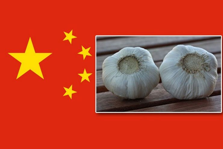 safety tips of using Chinese garlic