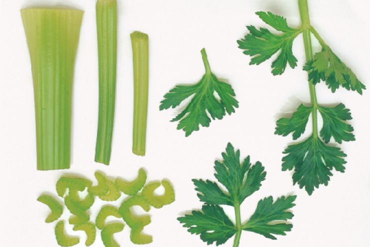 Parsley and Celery for dry mouth