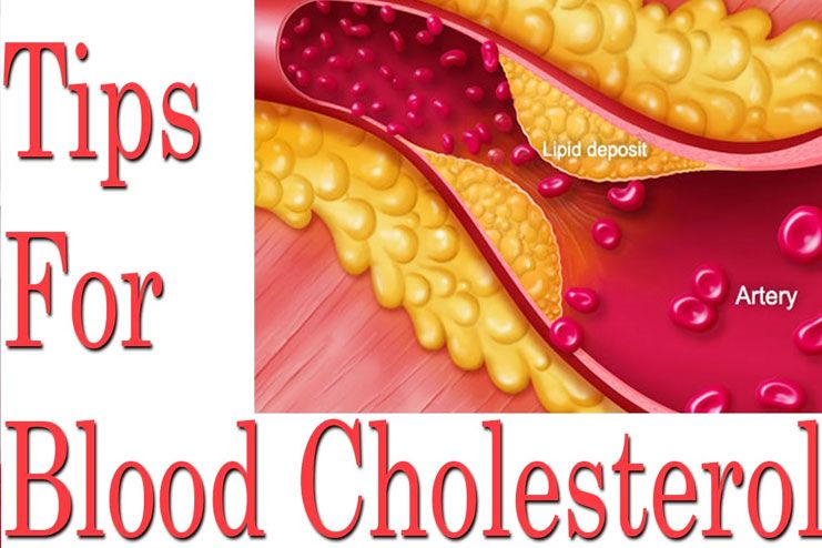 Maintain blood cholesterol levels