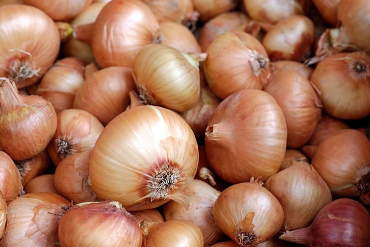 Onion