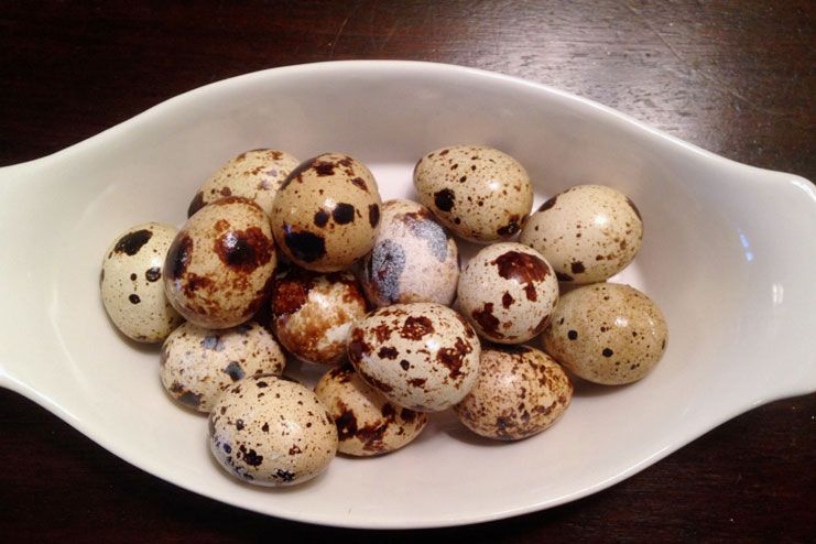 How to Cook and Eat Quail Eggs