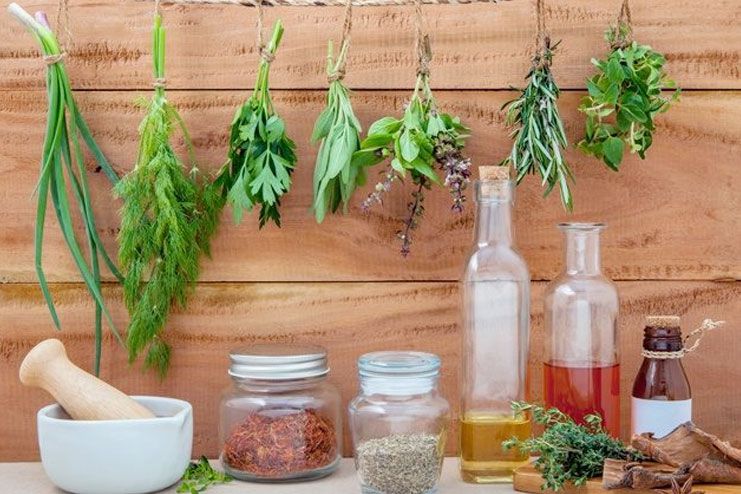 Aloe for Yeast infection- Yeast Infection Aloe for Yeast infection- Yeast Infection