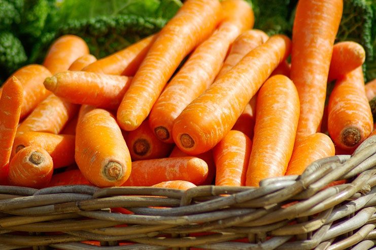 Carrots For Hair Growth