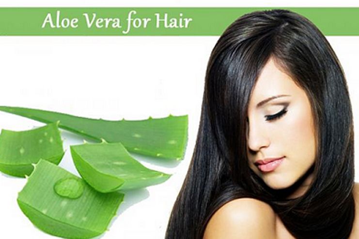 Aloe Vera benefits for hair