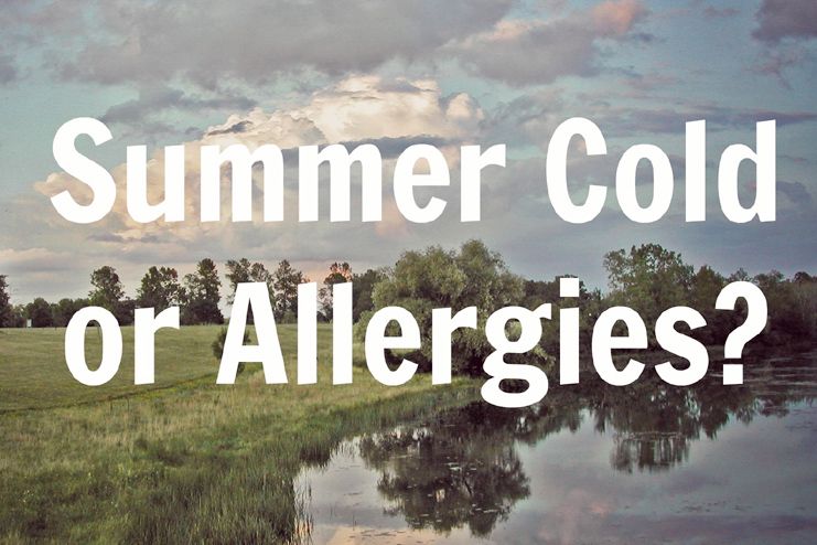 Summer Cold or Just Simple Allergies