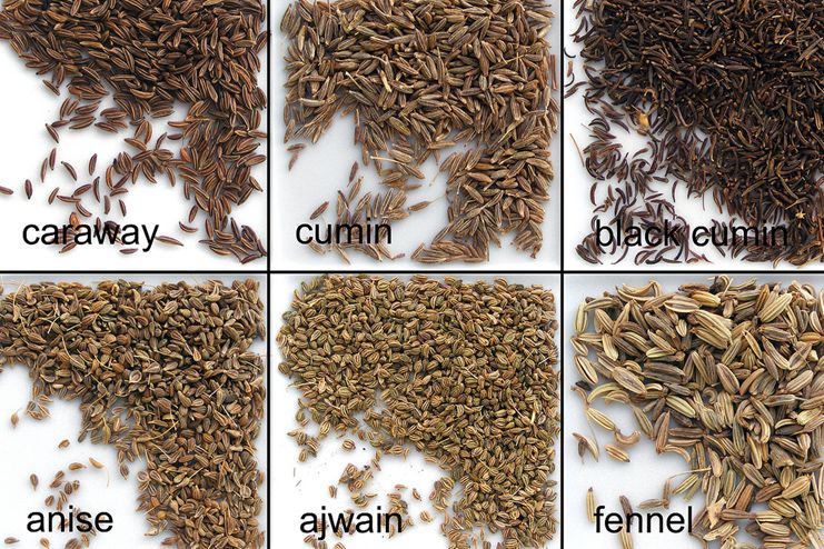 Fennel seeds, caraway and anise for stomach bloating