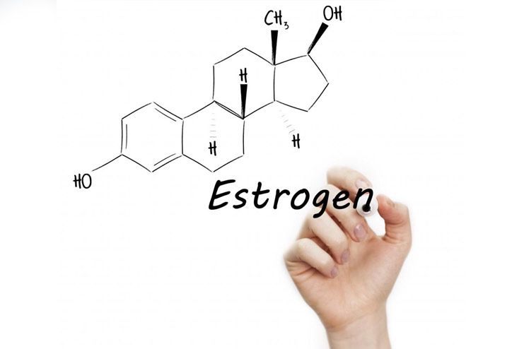 Hinders with the effects of body’s estrogens