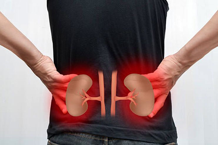 Effects on the kidneys