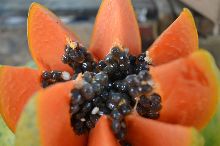 Papaya for Sour Stomach