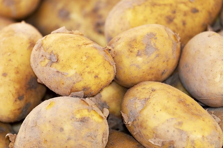 Potato for Sebaceous Cyst