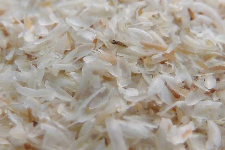Psyllium husk Psyllium husk