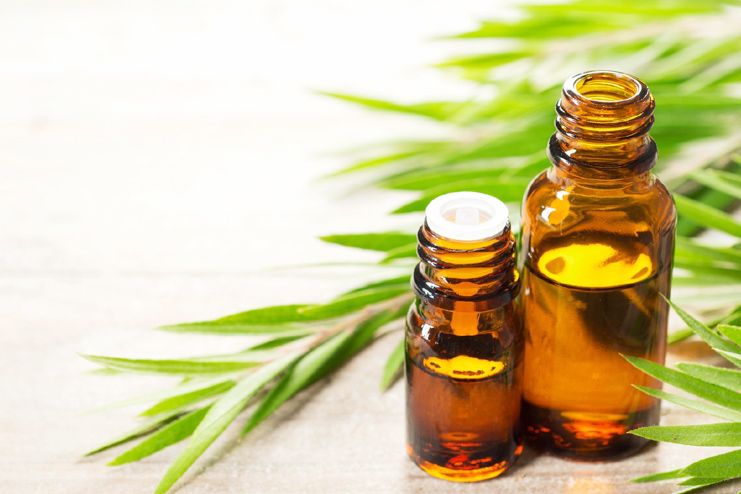 Tea tree oil for Sebaceous Cyst