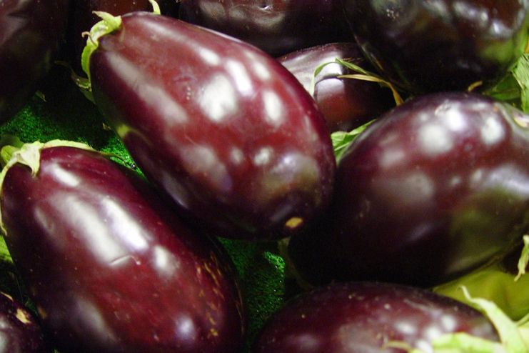 Brinjals or Eggplants for Natural Abortion