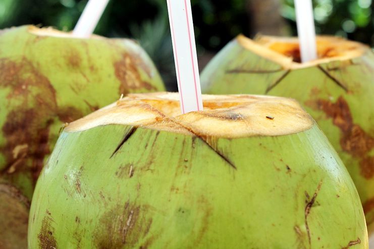 Coconut Water for morning sickness