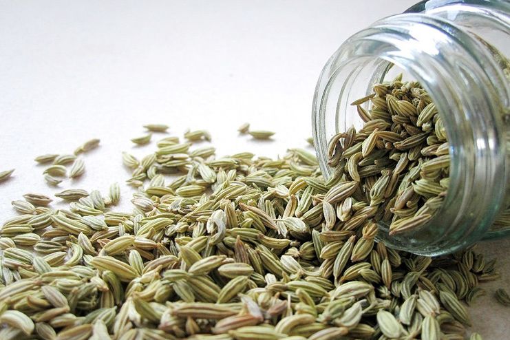 Fennel seeds for morning sickness