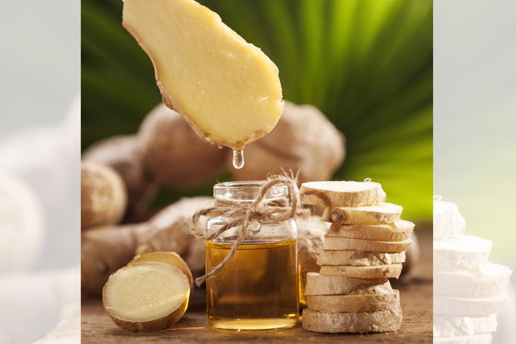 Ginger essential oil Ginger essential oil