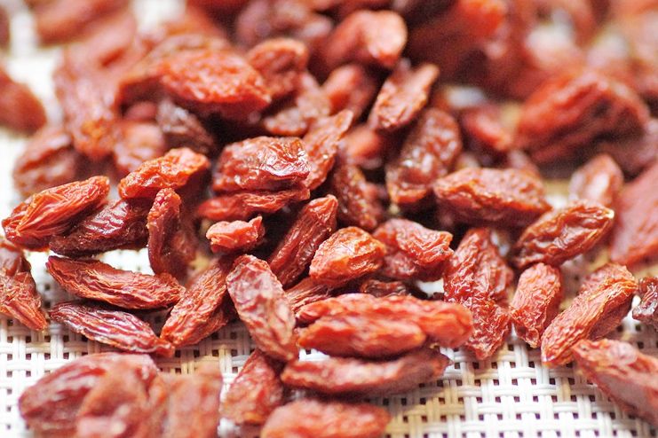 Goji Berry for Natural Abortion
