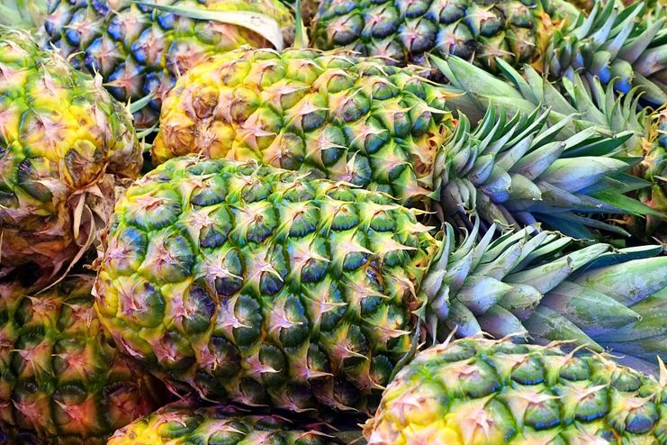 Pineapple for Natural Abortion