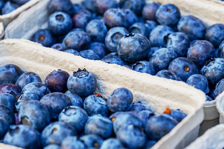 Blueberries for UTI