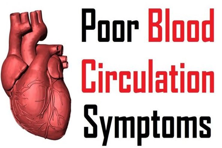 What are the symptoms of poor blood circulation