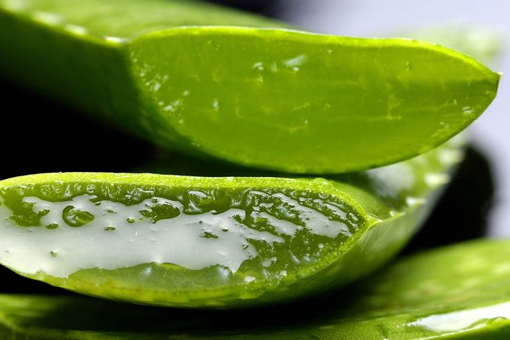 Aloe Vera for scabs on scalp