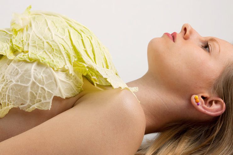 Cabbage leaves for Breast Pain