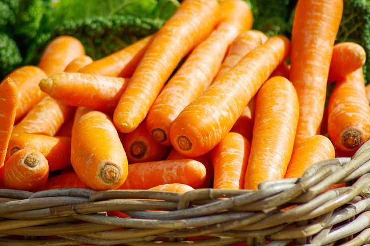 Carrots to Treat Pneumonia