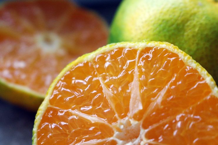 Citrus Limetta Fruit for Malaria Treatment
