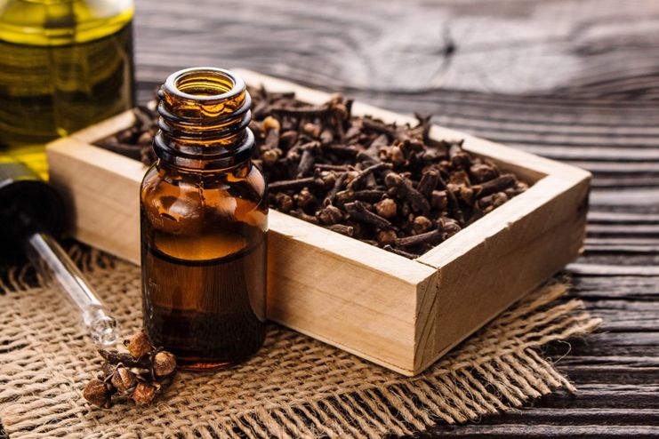 Clove Oil for Mouth Ulcers