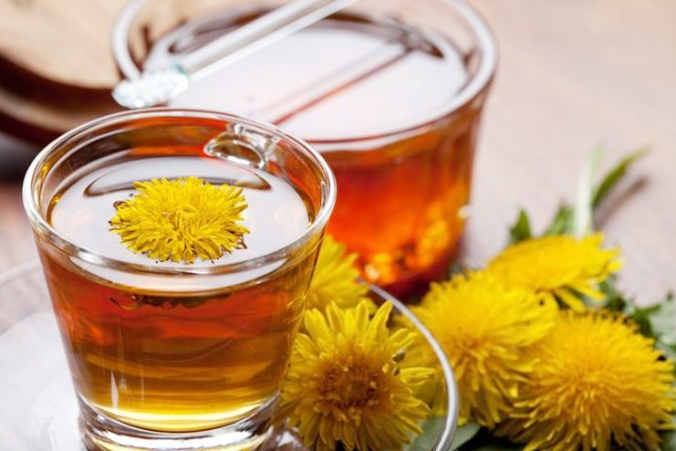 Dandelion tea to Treat Pneumonia