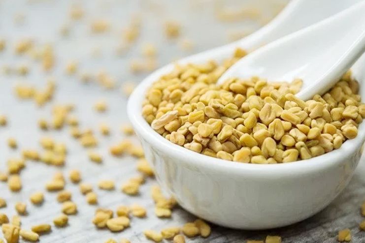Fenugreek seeds for Anemia Fenugreek seeds for Anemia