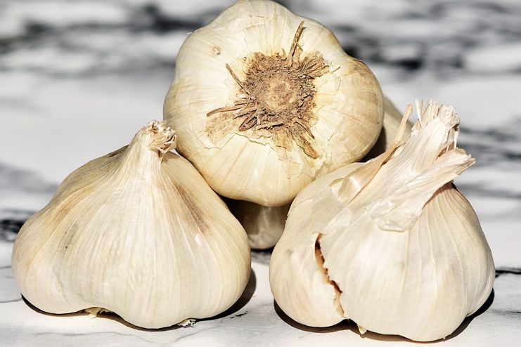 Garlic for motion sickness