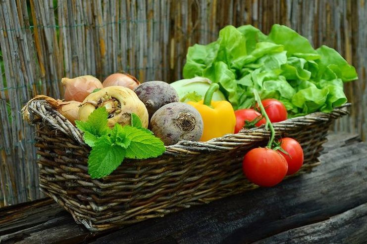 Home remedies for Anemia Home remedies for Anemia