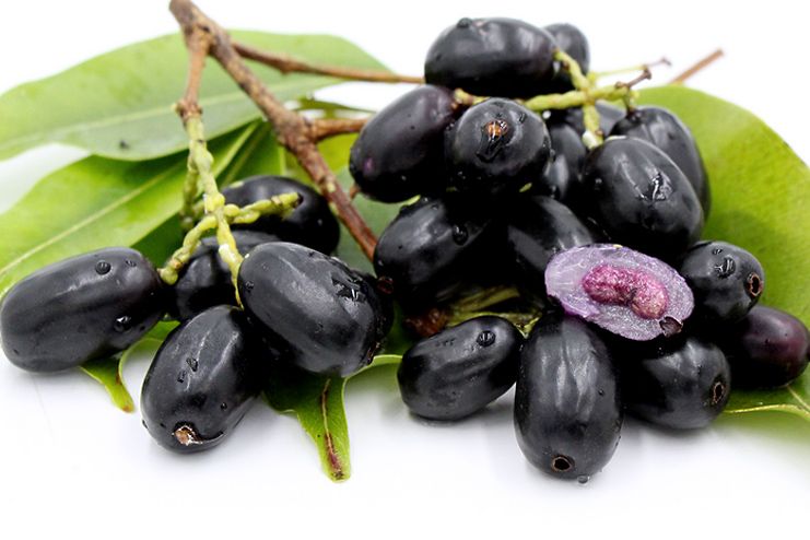 Nutritional Facts about Jamun