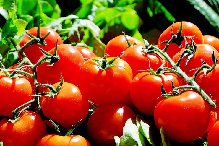 Nutritional value of Tomatoes