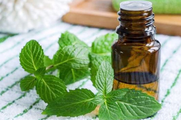 Patchouli Essential Oil for Psoriasis