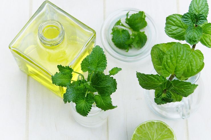 Peppermint Essential Oil for Psoriasis