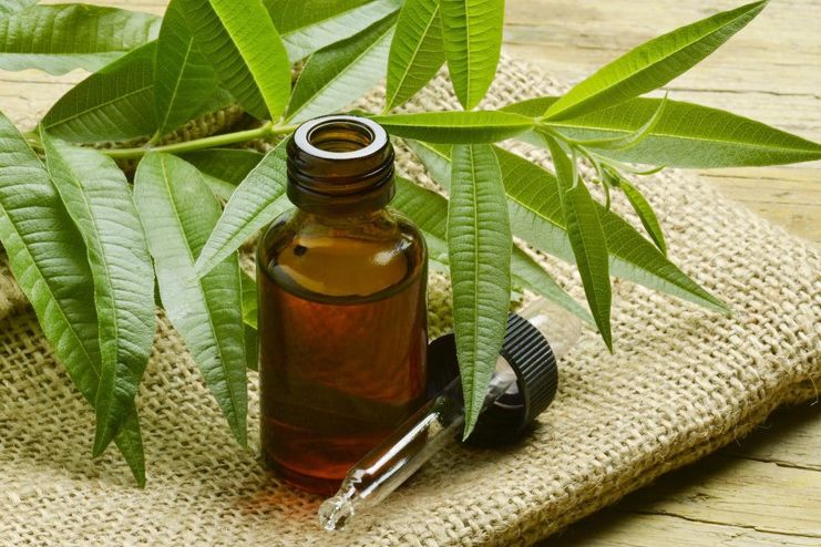 Tea Tree Oil for Psoriasis