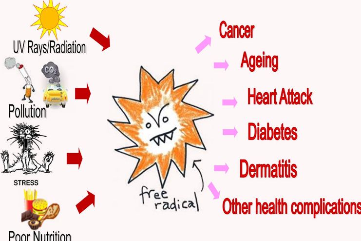 Benefits of tomatoes in Destroying Free Radicals