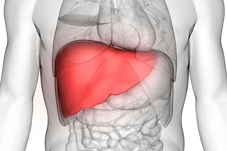 Detoxify and flush the liver