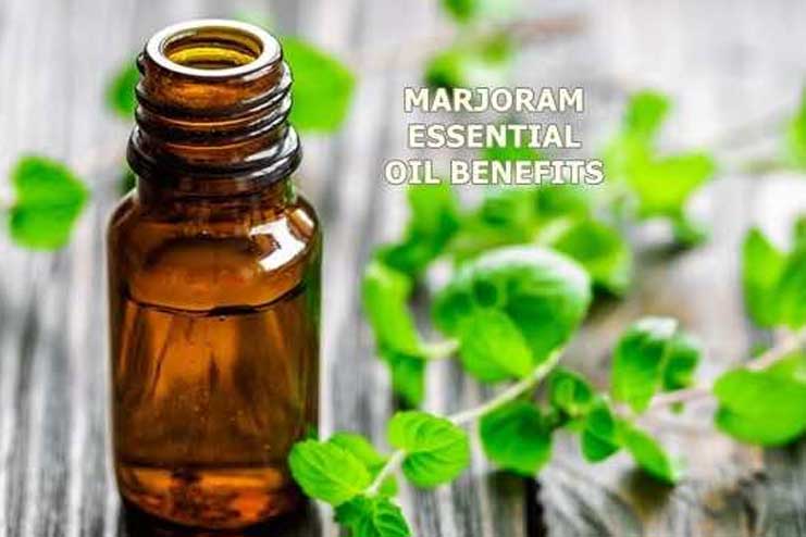 Marjoram Essential Oil for Sleep