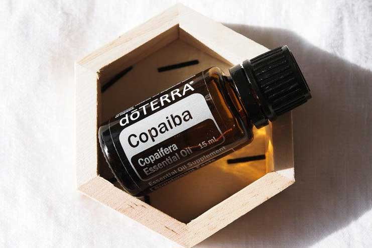 Copaiba Essential Oil for Sleep