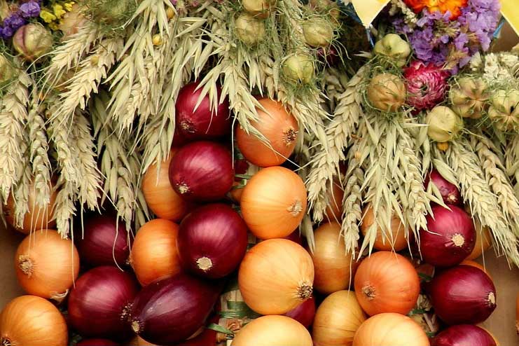 Onions for Freckles Removal