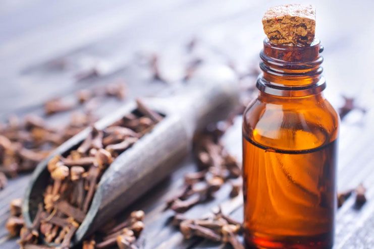 Clove Oil